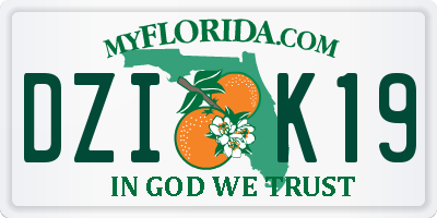 FL license plate DZIK19