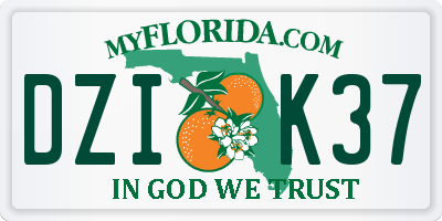 FL license plate DZIK37