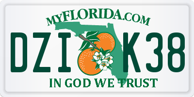 FL license plate DZIK38