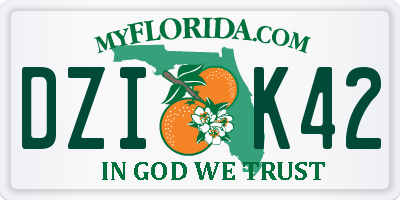 FL license plate DZIK42