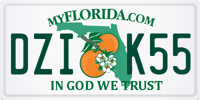 FL license plate DZIK55