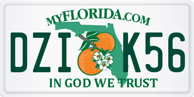 FL license plate DZIK56