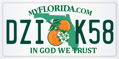 FL license plate DZIK58