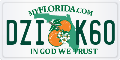 FL license plate DZIK60