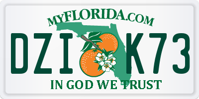 FL license plate DZIK73
