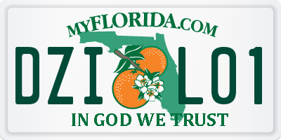 FL license plate DZIL01