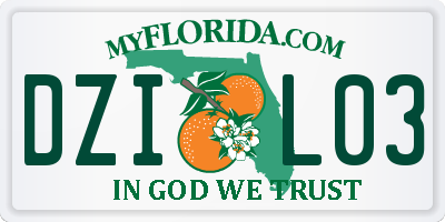 FL license plate DZIL03