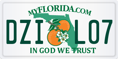 FL license plate DZIL07
