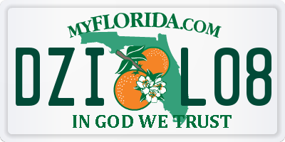 FL license plate DZIL08