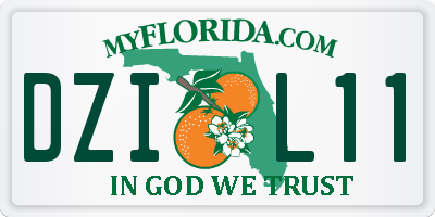 FL license plate DZIL11