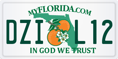 FL license plate DZIL12