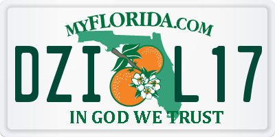 FL license plate DZIL17