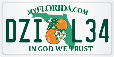 FL license plate DZIL34