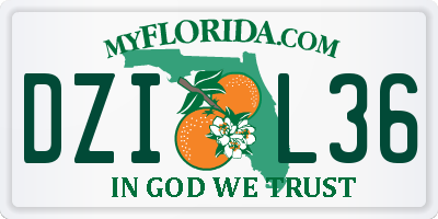 FL license plate DZIL36