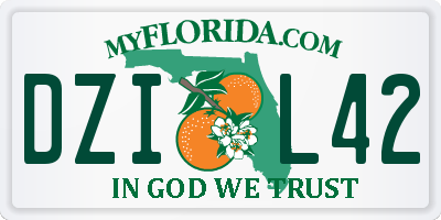 FL license plate DZIL42