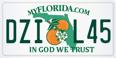 FL license plate DZIL45