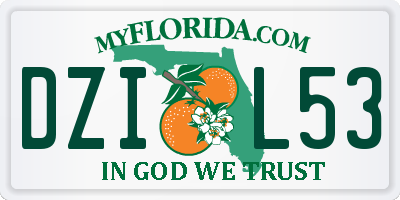 FL license plate DZIL53