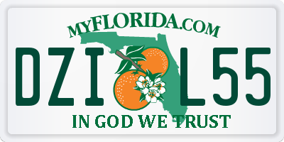 FL license plate DZIL55