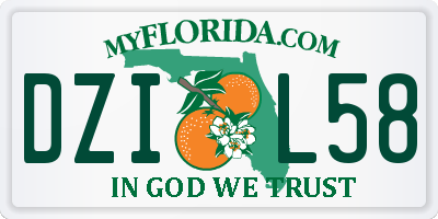 FL license plate DZIL58