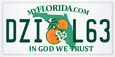 FL license plate DZIL63