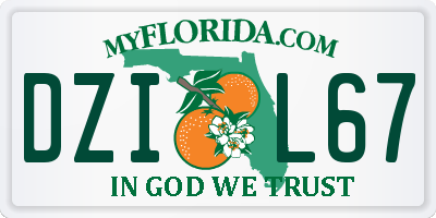 FL license plate DZIL67