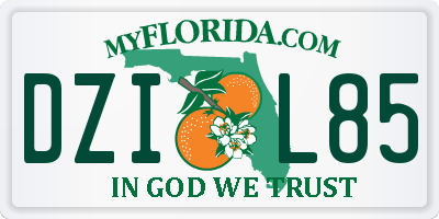 FL license plate DZIL85