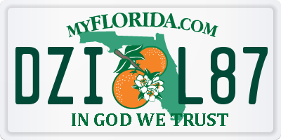 FL license plate DZIL87