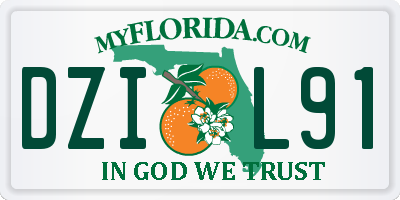 FL license plate DZIL91