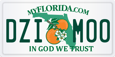 FL license plate DZIM00