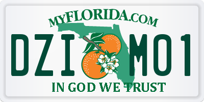 FL license plate DZIM01