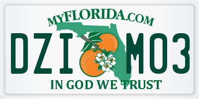 FL license plate DZIM03