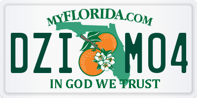 FL license plate DZIM04
