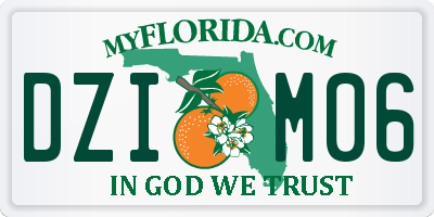 FL license plate DZIM06