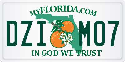 FL license plate DZIM07