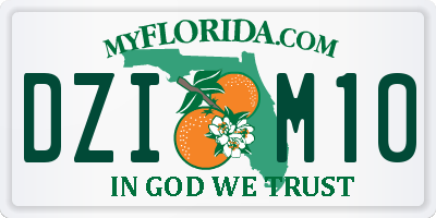 FL license plate DZIM10