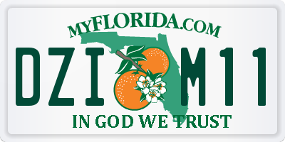FL license plate DZIM11