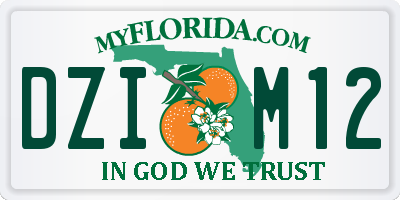 FL license plate DZIM12