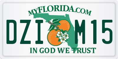 FL license plate DZIM15