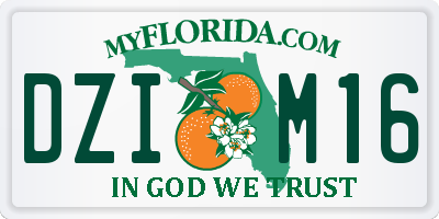 FL license plate DZIM16