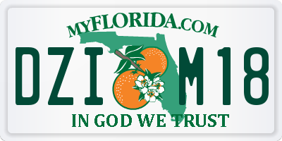 FL license plate DZIM18
