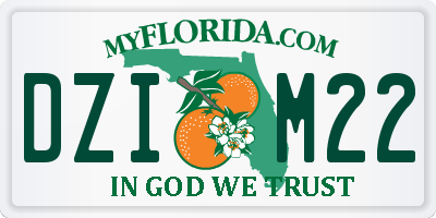 FL license plate DZIM22