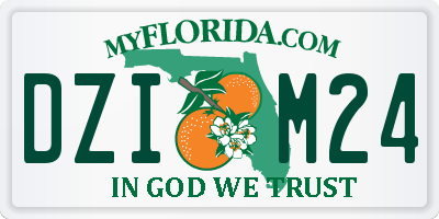 FL license plate DZIM24