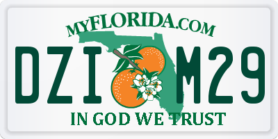 FL license plate DZIM29