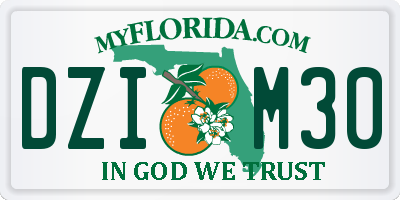FL license plate DZIM30