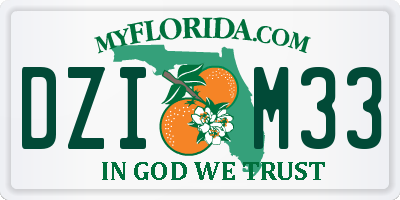 FL license plate DZIM33