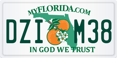 FL license plate DZIM38
