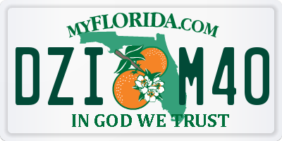 FL license plate DZIM40