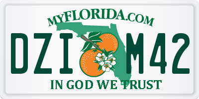 FL license plate DZIM42