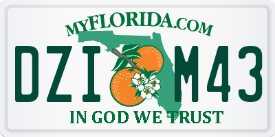 FL license plate DZIM43