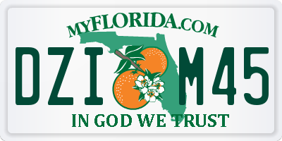 FL license plate DZIM45